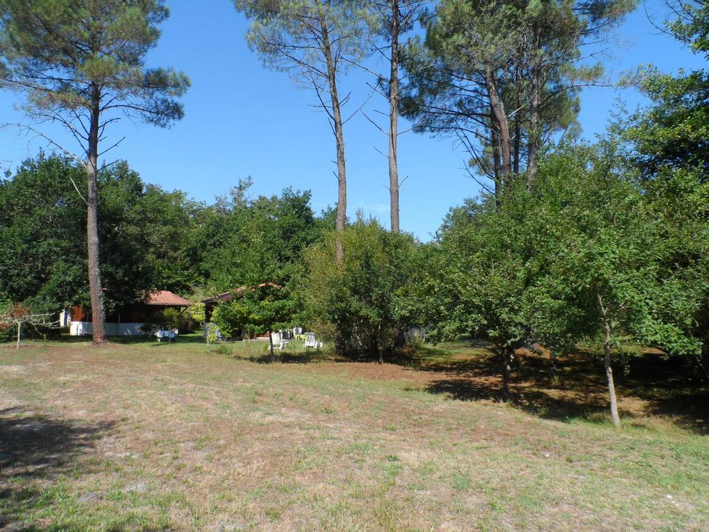 Les Chalets Du Gelat, Nature Et Calme Noaillan Exterior foto